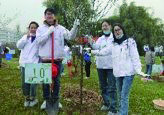 Arbor Day Activities
                                                by Heart Society
