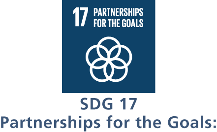 SDG17