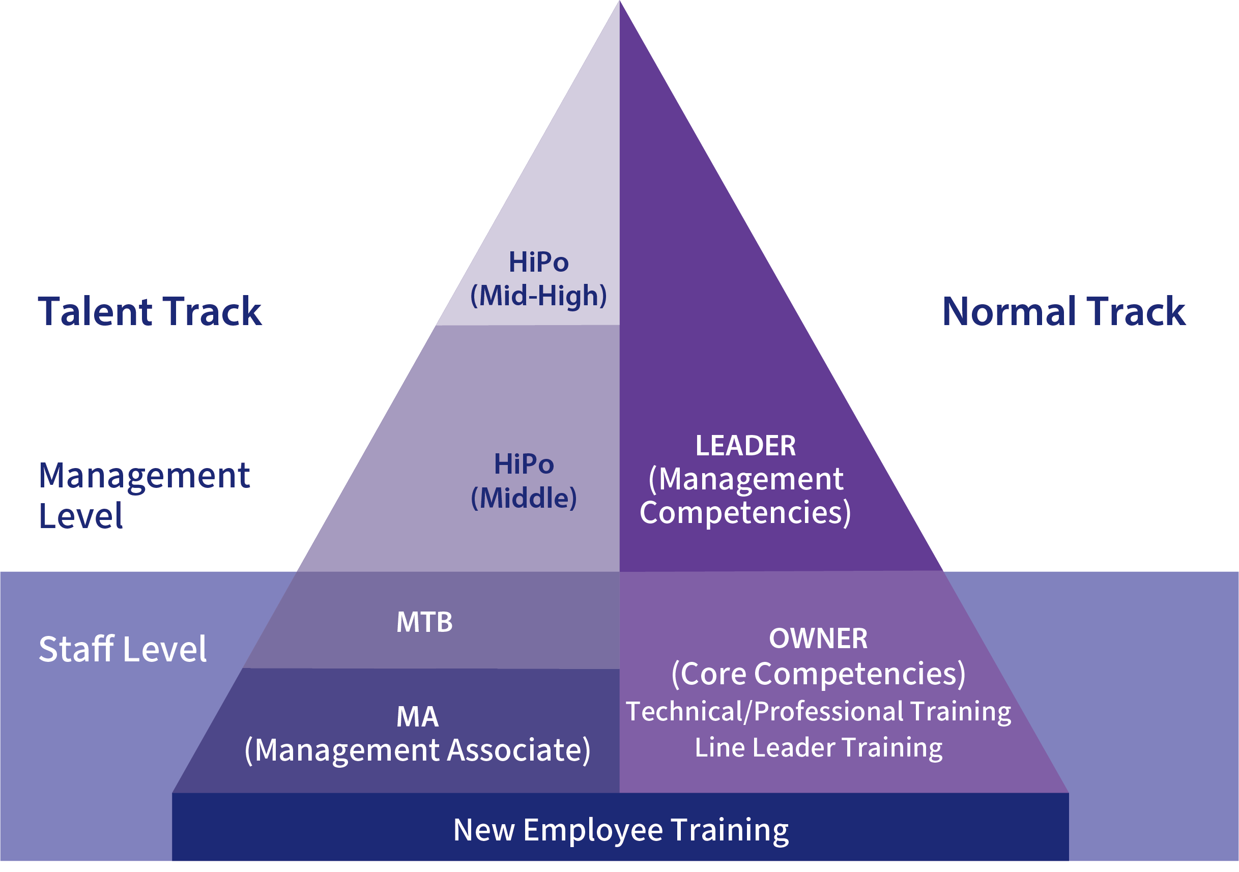 Training Roadmap for All Staff
