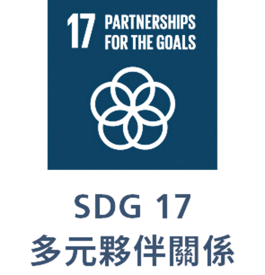 SDG17