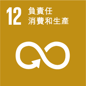 sdg12