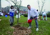Arbor Day Activities
                                                by Heart Society