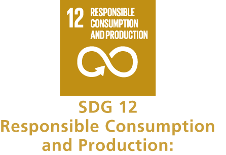 SDG12